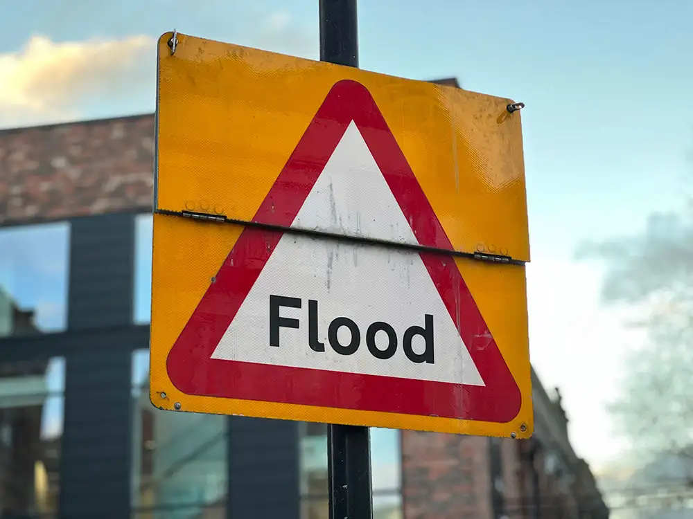 The York Brief ⏰Thursday, 11 December 2025