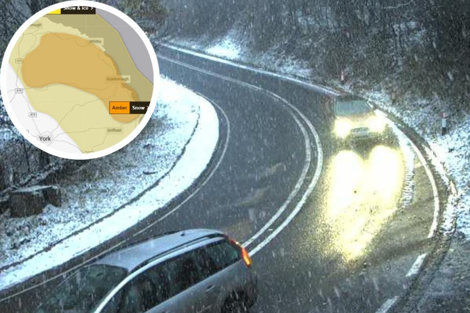 THE YORK BRIEF ⏰ Wednesday, November 19, 2025