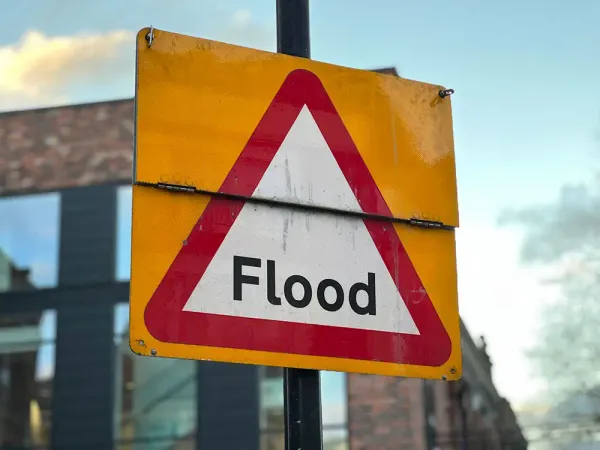 The York Brief ⏰Thursday, 11 December 2025