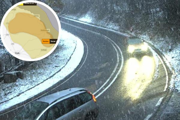 THE YORK BRIEF ⏰ Wednesday, November 19, 2025